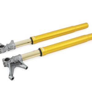 FORCELLA Ducati V4- modello FGR TTX 25 Racing -